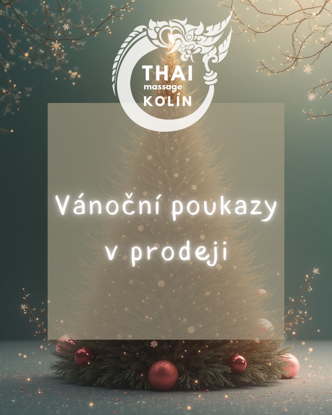 Thajské masáže kolín (1080 × 1350 px)-11